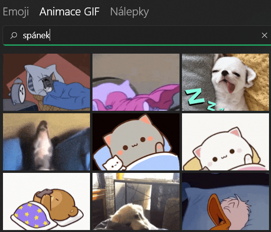 Ukázka náhledu vyhlednávání gifů