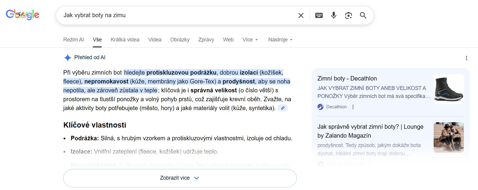 SERP, když uživatel vyhledává informační klíčový výraz